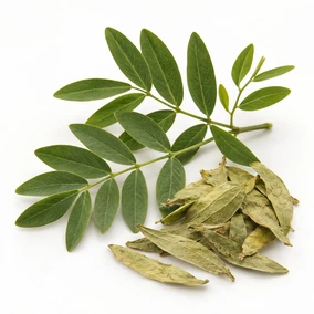 Senna Leaves