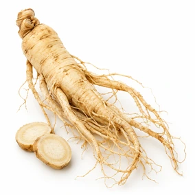 Ginseng Root